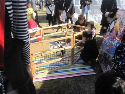 広島みなとフェスタ ペンギン2015.03.09.JPG